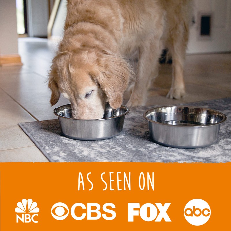 Mighty Paw Stainless Steel Dog Bowls - Steel Bowl Set