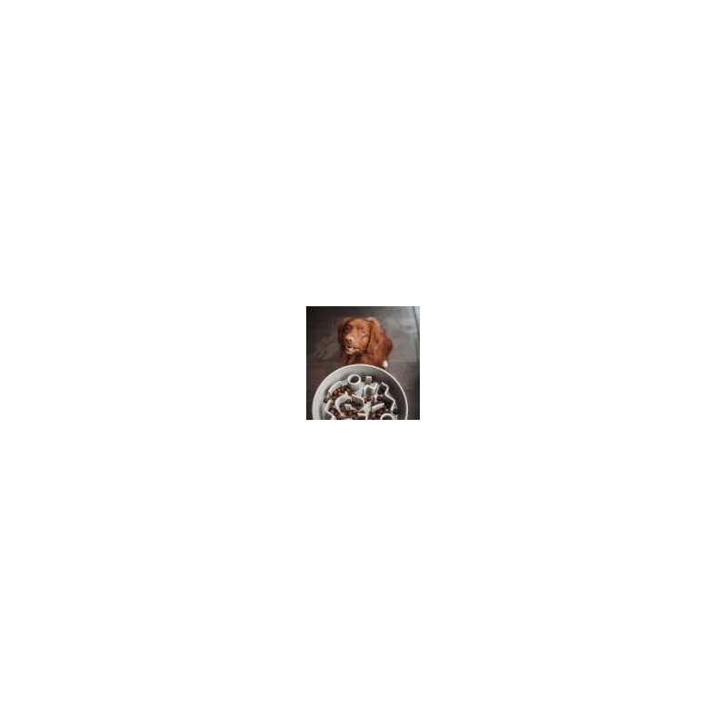 District 70 - Bamboo Dog Slow Feeder - Merengue -