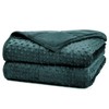 Alomidds Weighted Blanket for Adults (60"x80",15lbs Queen Size - Green),