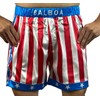 Rocky American Flag Boxing Shorts Apollo Creed Replica Short Trunks
