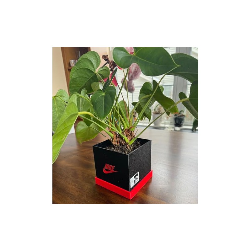 Antho3D Shoebox-Style Planter Pot (Black, White and Red) Indoor Outdoor