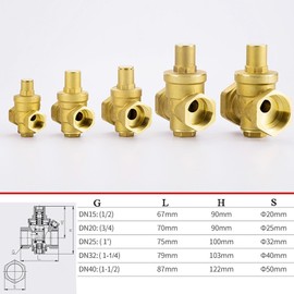 Pressure Regulator Valve Reducing Valve Adjustable Brass Water Pressure Valve for Water Purification Equip, Gold