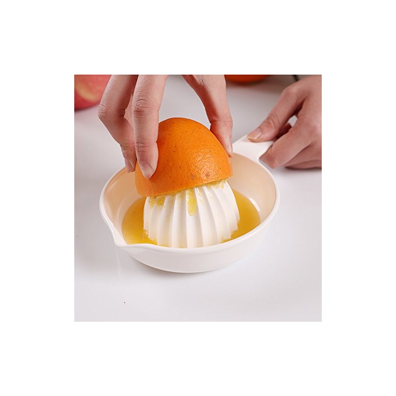 イノマタ化学 グレープフルーツ搾り