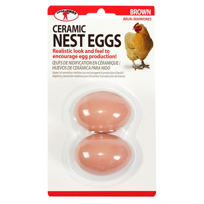 Little Giant® Large Egg Basket Kit | Chicken Egg Basket