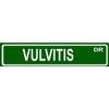 ANY AND ALL GRAPHICS Vulvitis 4"x18" Standard Green Street Sign