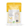 Delicious Anytime Freeze-Dried Banana Crisps - 6 Pack for Guilt-Free