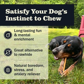 Redbarn Pet Products Redbarn Pet Products All Natural 5-8" Bully Sticks for Small & Large Dogs - Healthy Long Lasting Chews Variety Party Pack - 100% Beef Single Ingredient Low Odor Rawhide Free Dental Treats - 8 oz Bag