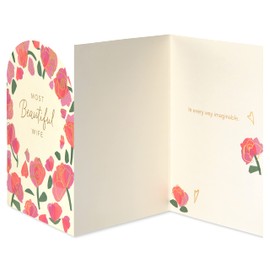 American Greetings Romantic Card for Wife (Every Way Imaginable)