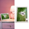 Digital Photo Frame Multifunction 10.1inch IPS HD Screen Support Slide