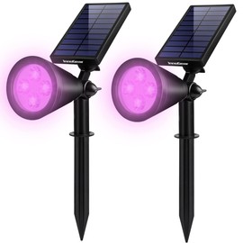 InnoGear Solar Lights Outdoor Waterproof Solar Garden Light for Outside Yard Landscape Lighting Pathway Spot Lights Spotlight Wall Light Auto On/Off, Pack of 2 (Violet Purple Light)