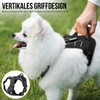 OneTigris ANTZ Tactical Harness Set for Small Dogs, and Lead