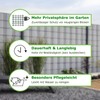 WorkingHouse Poly-rattan Visual Protection Strips, Visual Protection for Double Bar