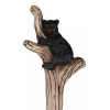 Woodland Black Bear Cubs Climbing On Tree In Pine Forest