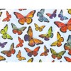 Decorative Monarch Butterfly Tissue Paper, Orange and Blue Pattern, 20x30