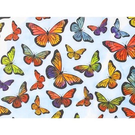 Decorative Monarch Butterfly Tissue Paper, Orange and Blue Pattern, 20x30 Inch, 12 Sheets