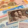 IMPACTO COLECCIONABLES 25 Banknotes from All the World - Banknotes