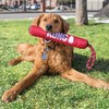 Kong Signature Stick Juguete para Perro con Cuerda