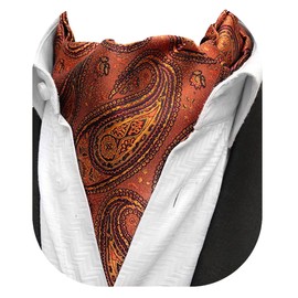 Beaface Men's Cravats Self Tie, Cravat Ties for Men Paisley Floral Jacquard Woven Ascot Tie Wedding Business Party Casual (Gold Paisley)