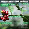 Café La Organización & Organic Coffee 1 Kg