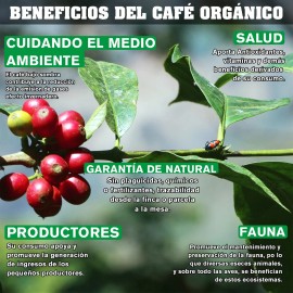 Café La Organización & Organic Coffee 1 Kg