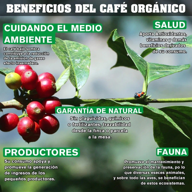 Café La Organización & Organic Coffee 1 Kg
