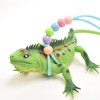 One Piece High Elastic Bearded Dragon Lizard Leash Walking Training