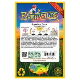 Everwilde Farms - 200 Polar Bear Zinnia Wildflower Seeds - Gold Vault Jumbo Seed Packet