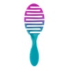 Wet Brush Brush Pro Flex Dry Teal Ombre