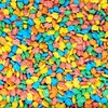 Candy Retailer Gone Fishing Fish Shaped Hard Candy 1 Lb