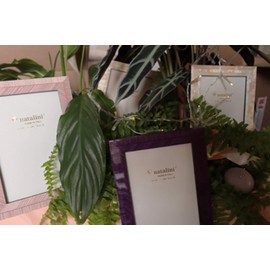 Natalini Q H 20 Pink 10X15