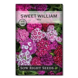 Sow Right Seeds - Sweet William Mix Flower Seeds for Planting - Beautiful and Edible Biennal Variety - Non-GMO Heirloom Packet to Plant Home Flower Garden - Fragrant Blooms to Attract Pollinators