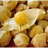 Pineapple Tomatillo Seeds - Marde Ross & Company®