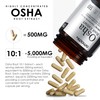 AMALTH OSHA Root 20:1 Extract, 1000mg 120 Vegan Capsules, Concentrated