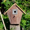 Simply Hardware Satin Stainless Steel Bird Box Protector / Nest