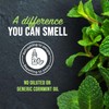 Mighty Mint Peppermint Oil Rodent Repellent Spray with Microfiber Cloth