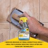 FILA Surface Care Solutions, INSTANT REMOVER, Spray for Grout Haze