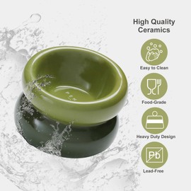 BICOPET Ceramic Elevated Cat and Dog Bowls for Small Dogs, Non-Slip Tilted Raised Cat Food and Water Bowls Whisker Friendly, Dog Standing Wet Food Bowl-Green