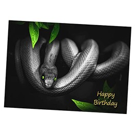 Snake Birthday Card