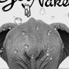 Uokiuki Get Naked Fabric Shower Curtain, Funny Animal Elephant Bathing
