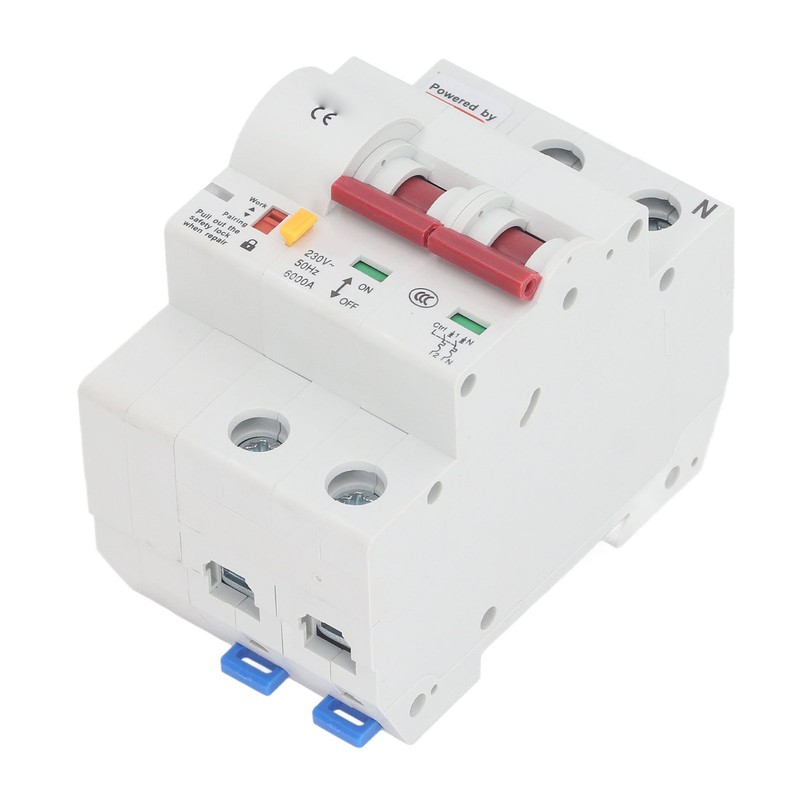 WiFi Smart Circuit Breaker AC 2 Poles Switch Automatic Reclosing