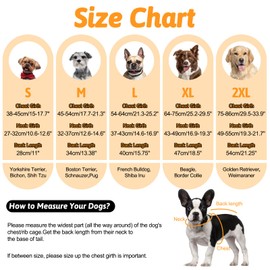 OUOBOB Dog Cooling Vest, Medium Dog Cooling Jacket, Lightweight Pet Shirt with D-Ring, Breathable Mesh Jacket for Dogs Summer with Reflective Stripe Schnauzer (Orange M)