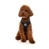 FuzzYard Swat Black Step in Harness for Dogs (Large)