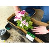Bosmere Pre-Formed Coco Liner with Soil Moist – 36-Inch Replacement