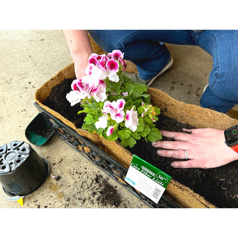 Bosmere Pre-Formed Coco Liner with Soil Moist – 36-Inch Replacement