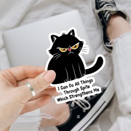 3 Pcs I Can Do All Things Through Spite Which Strengthens Me Sticker, Black Cat Sticker, Feminist Funny Saying Sarcastic Stickers - Vinyl Stickers For Water Bottles Laptop Car Hart Hat Helmet 3 Inches