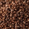 Bremer Gewürzhandel Paradise Grains, Whole, Aromatic Guinea Pepper with Fine