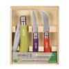 Opinel Gardener's Tools Set of 3