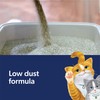Fresh Step Fresh Step Clean Paws Cat Litter with Febreze