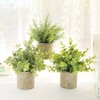 3pcs Potted Artificial Plant Fake Green Grass Leaves Artificial Simulation