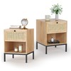 Rattan Nightstand Set of 2, End Table, Bedside Table, Rattan
